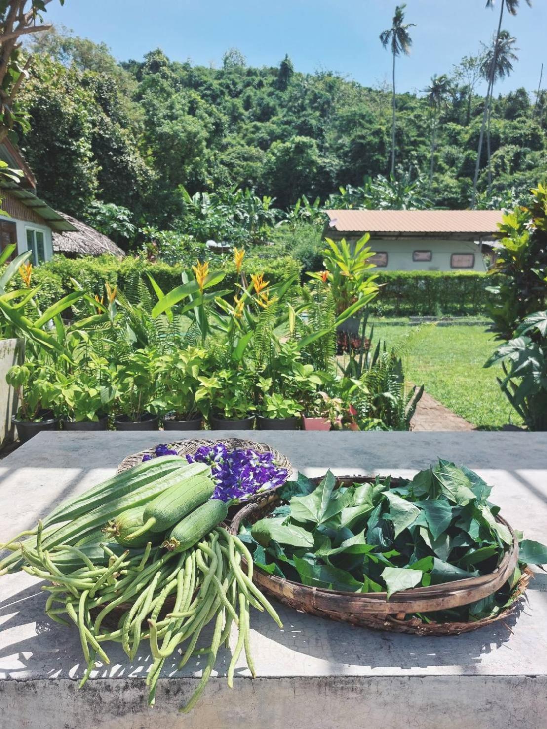 Samui Camping Farm Hotel Laem Sor Exterior photo