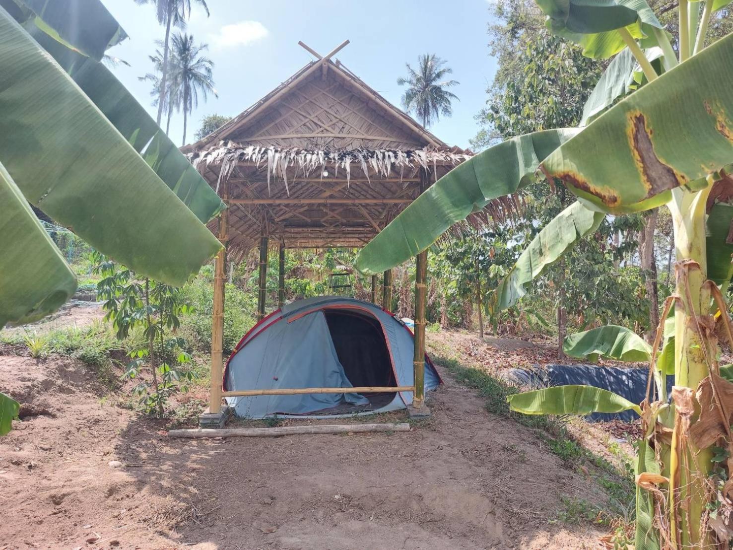 Samui Camping Farm Hotel Laem Sor Room photo